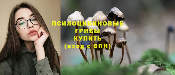 прущие грибы Волосово