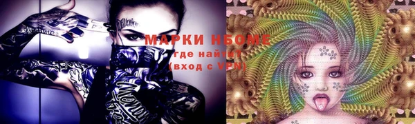 прущие грибы Волосово