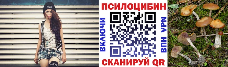 маркетплейс наркотические препараты  Муром  Псилоцибиновые грибы Psilocybe 